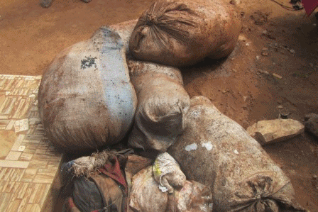 Bangui : des viandes avariées réintroduites sur le marché