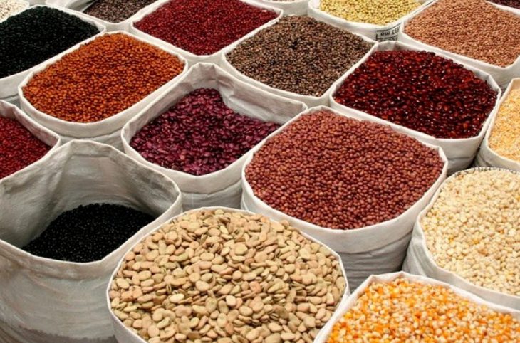 L'importance des semences améliorées