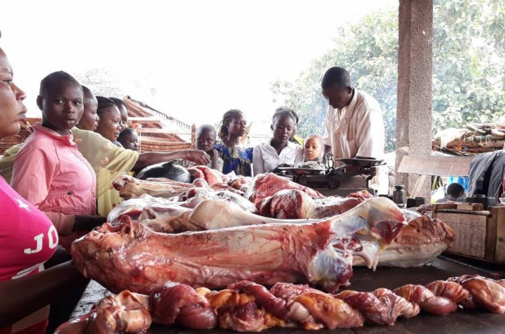 Centrafrique: la viande de bœuf se fait rare sur le marché de Carnot