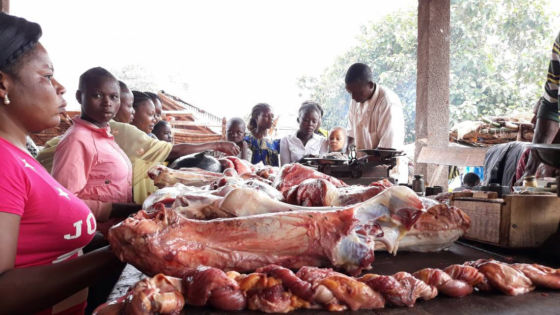 Centrafrique: la viande de bœuf se fait rare sur le marché de Carnot