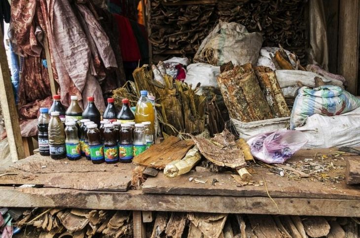 Mag-santé : quel est l’intérêt de la médecine traditionnelle ?