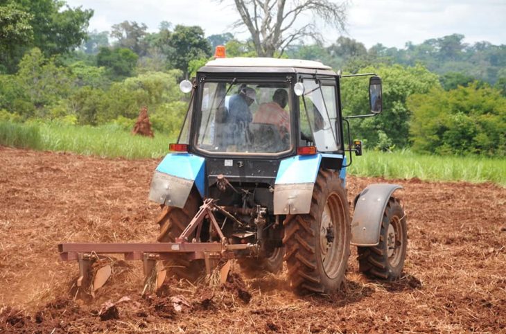Mag-agropastoral : mécanisation du maïs et lancement de la campagne agricole 2022
