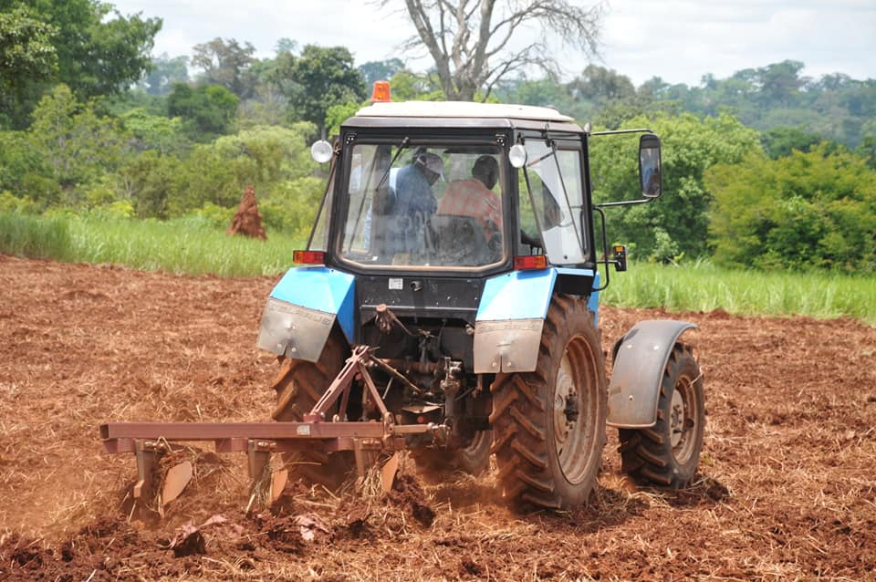 Mag-agropastoral : mécanisation du maïs et lancement de la campagne agricole 2022