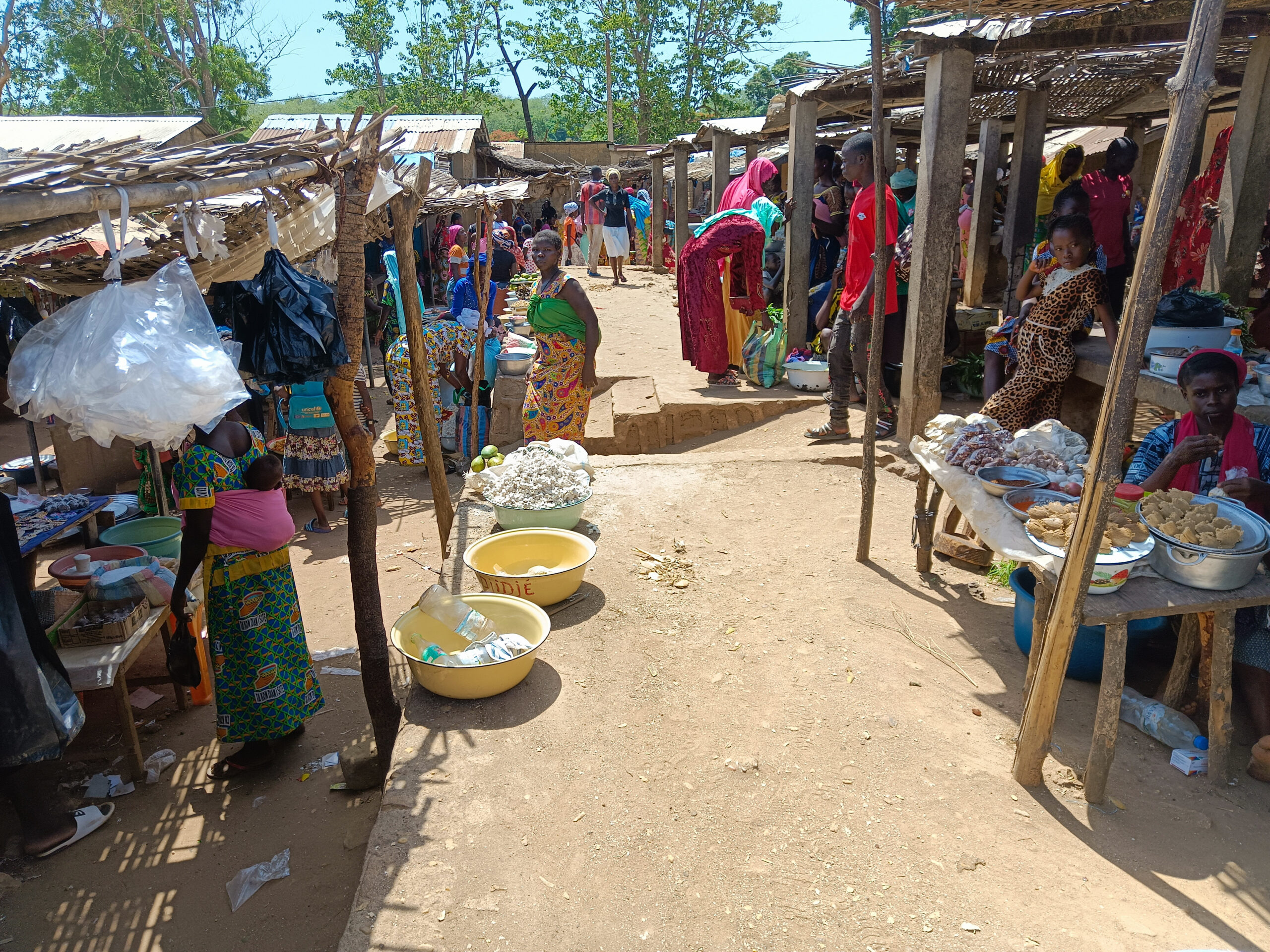 Centrafrique : retour progressif de la stabilité sécuritaire à Ndélé après le redéploiement des FDS