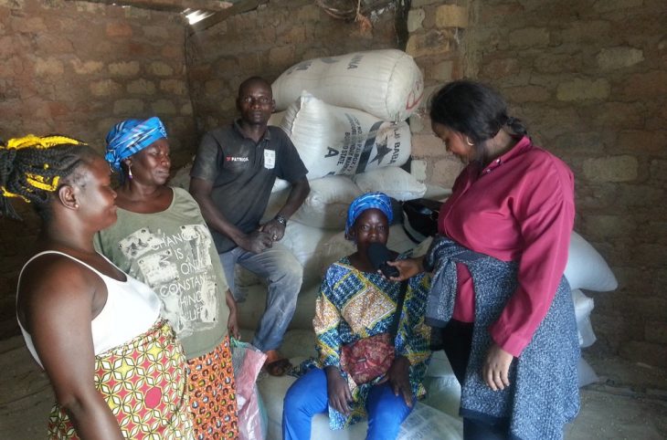 La flambé du prix de manioc sur le marché. Quelles sont les causes ?