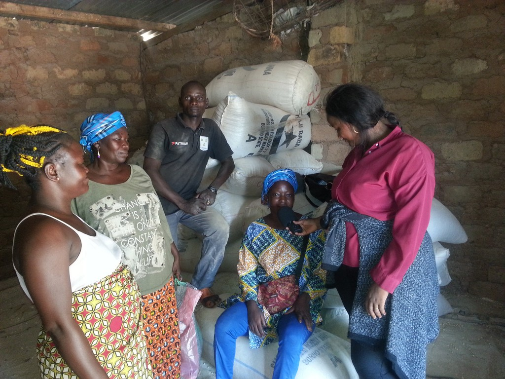 La flambé du prix de manioc sur le marché. Quelles sont les causes ?