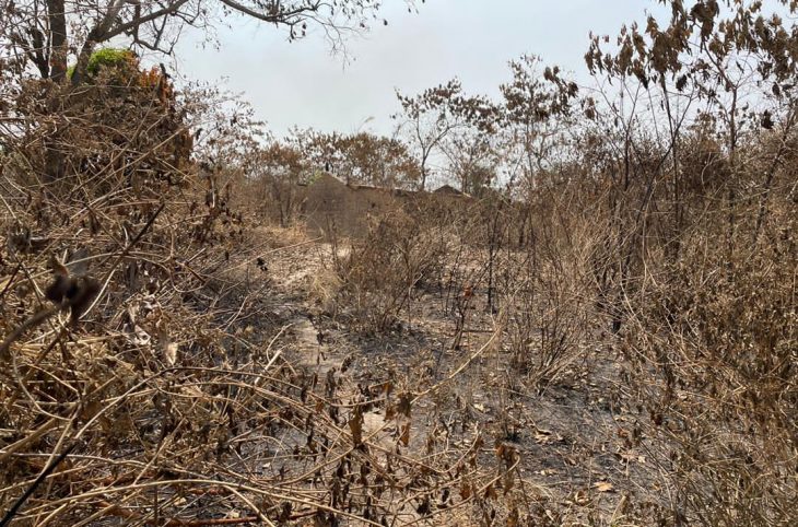 Centrafrique : des feux de brousse menacent depuis quelques jours une partie du 9e arrondissement de Bangui