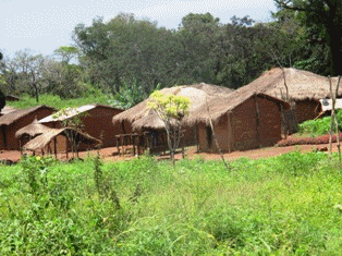 Crise centrafricaine, c’est l’horreur dans l’Ouham