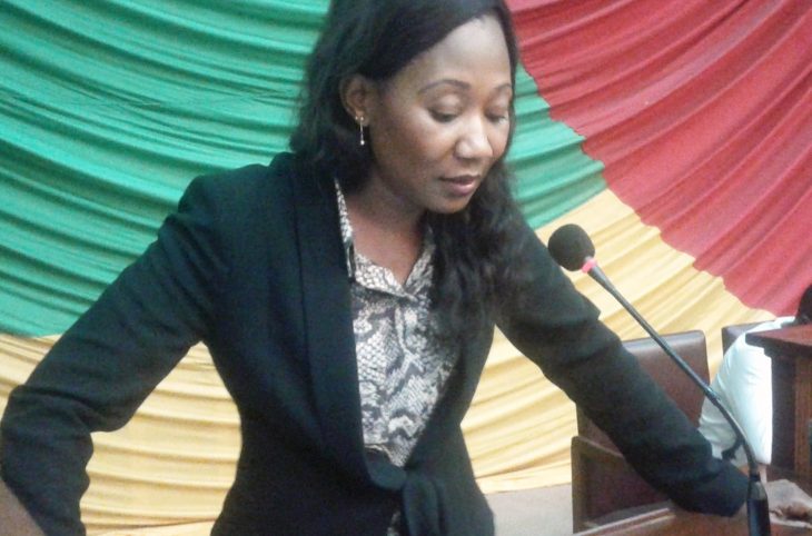 Centrafrique : Interpellation de la ministre des Affaires étrangères par les députés