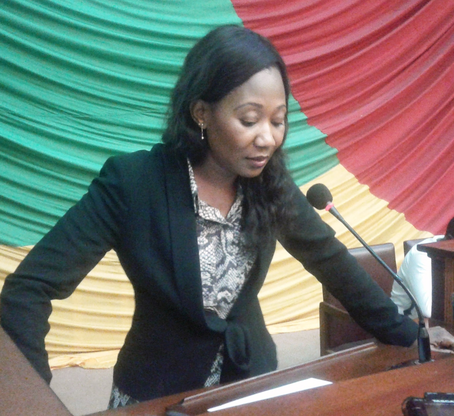 Centrafrique : Interpellation de la ministre des Affaires étrangères par les députés