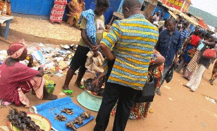 Timide reprise de vie à Bangui, Bozizé toujours refugié au Cameroun