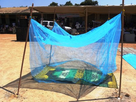 RCA, le paludisme tue plus que le vih/sida