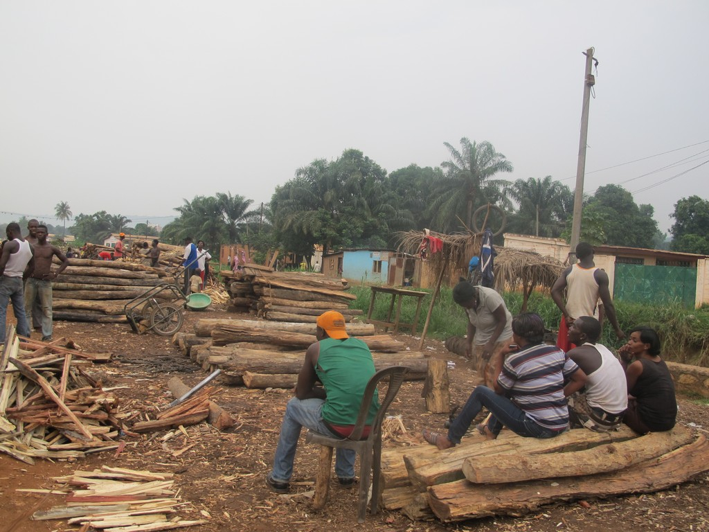 RCA : Le FNE prend des mesures pour contrecarrer la destruction de l’environnement