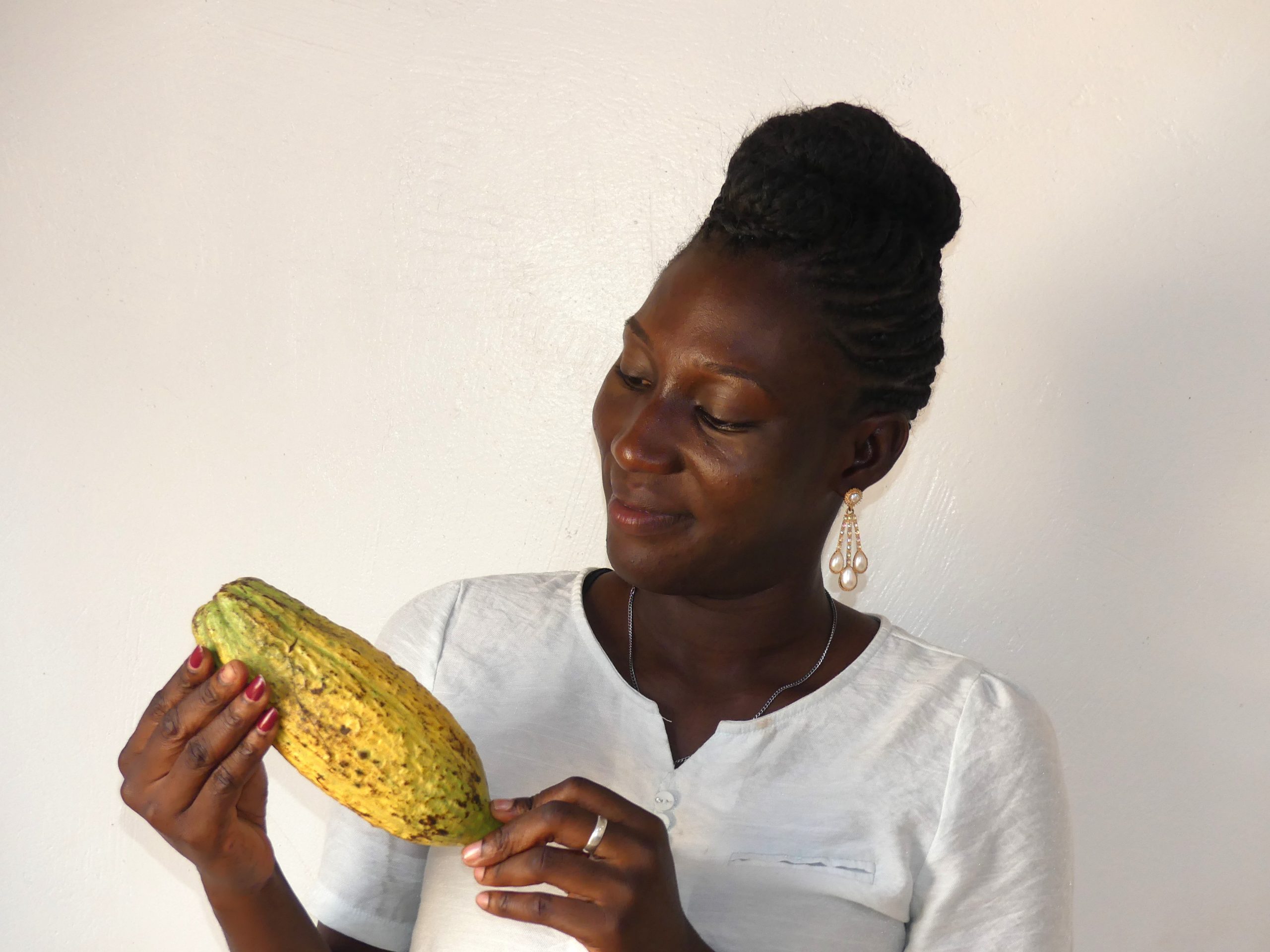 La culture du cacaoyer au menu du Magazine agropastoral