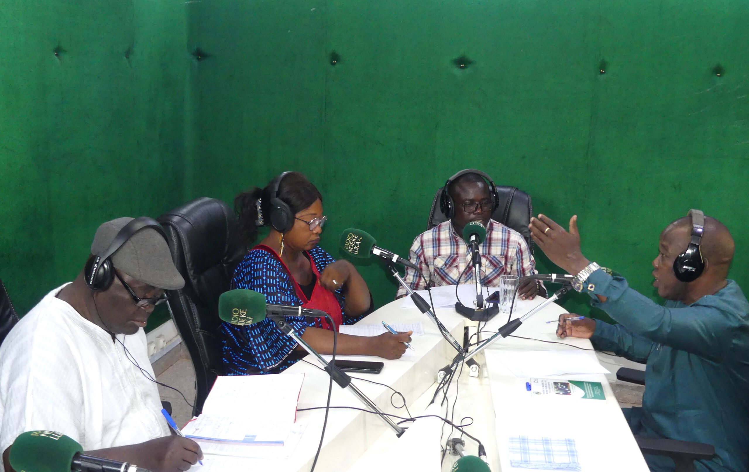 Quelle est la responsabilité du gouvernement centrafricain dans les litiges fonciers ?