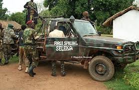 Assiégée par des hommes armés : Ngouandaye reprise par la Minusca