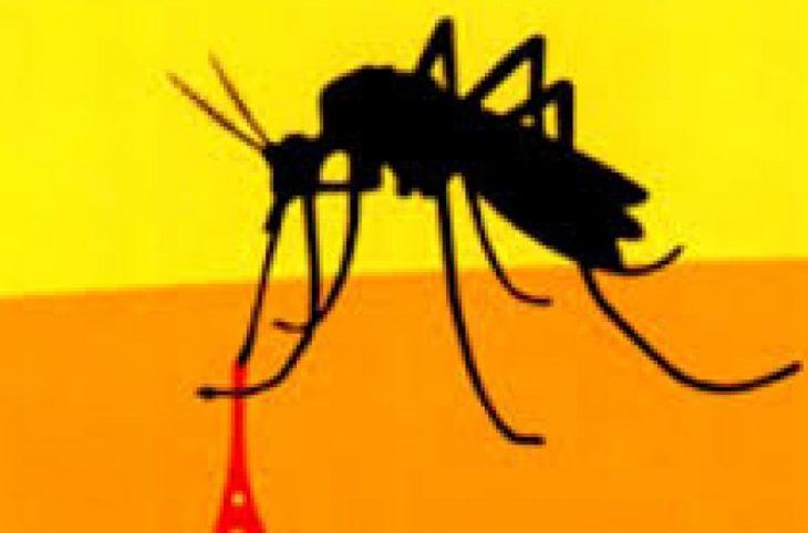 Ouham-Péndé : Alerte sur une épidémie de la fièvre jaune à Bocaranga