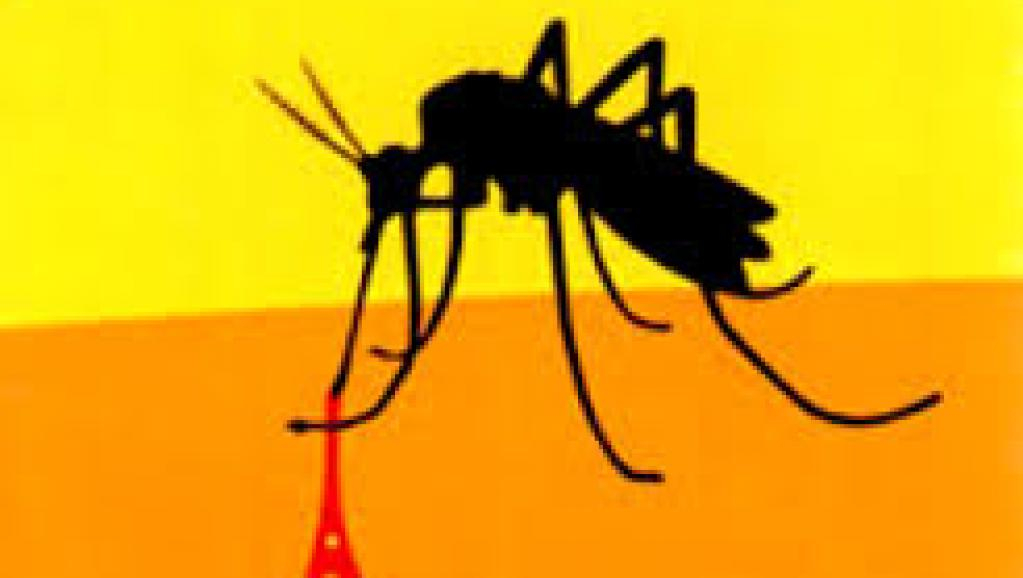 Ouham-Péndé : Alerte sur une épidémie de la fièvre jaune à Bocaranga
