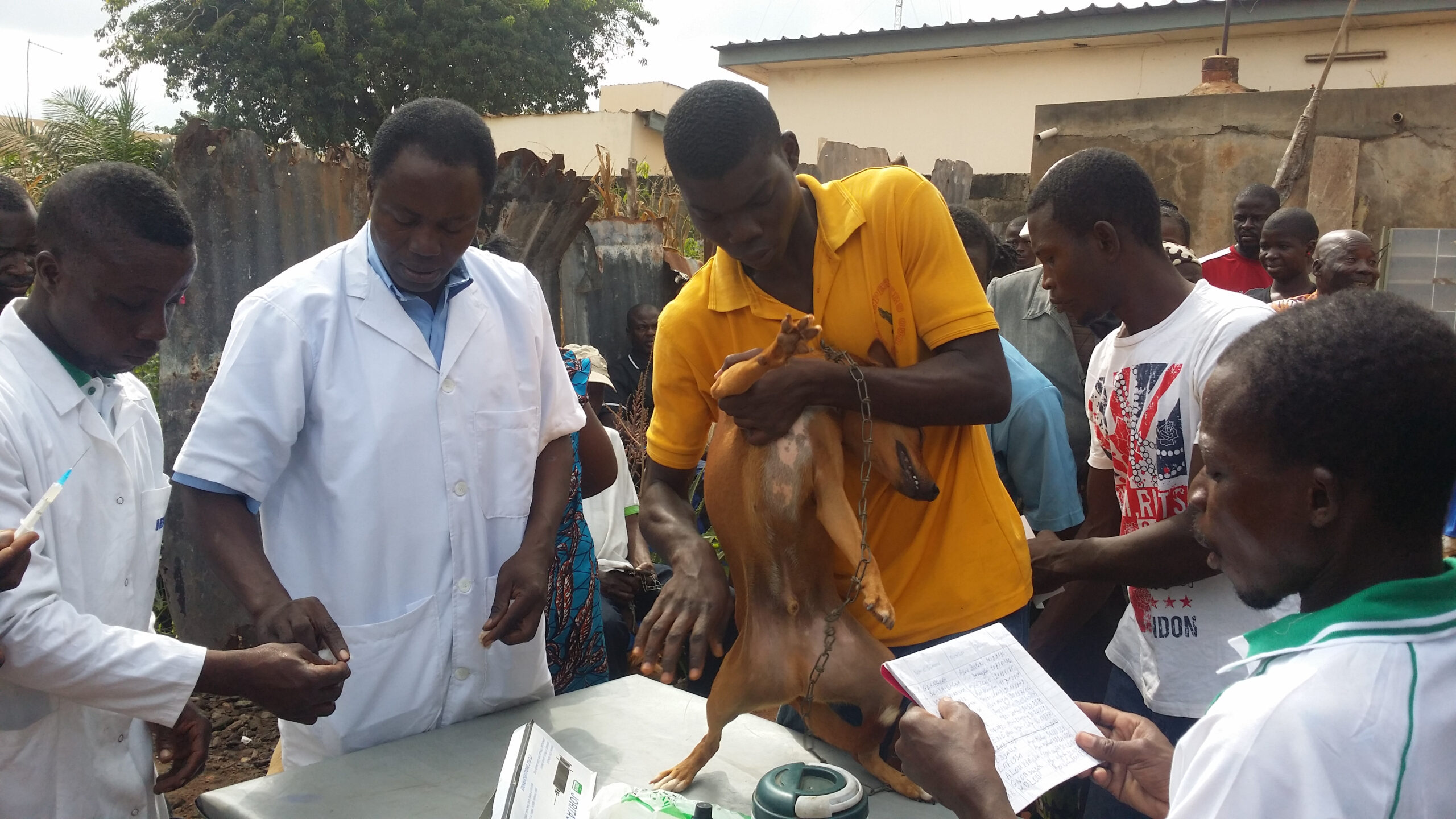 L’importance de la vaccination des animaux domestiques