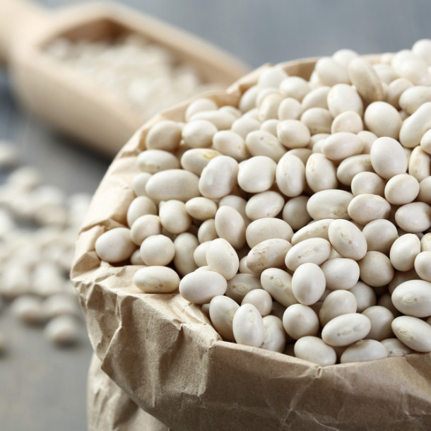 La culture du haricot au cœur du Magazine agropastoral