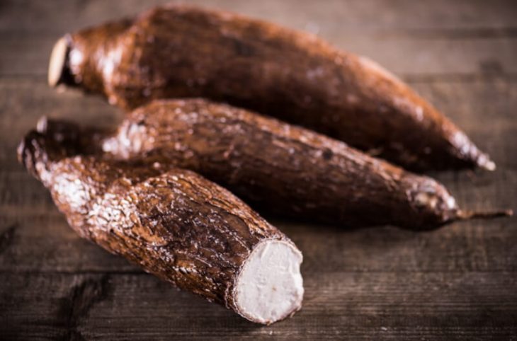 Mag. Agropastoral : la filière manioc et ses difficultés