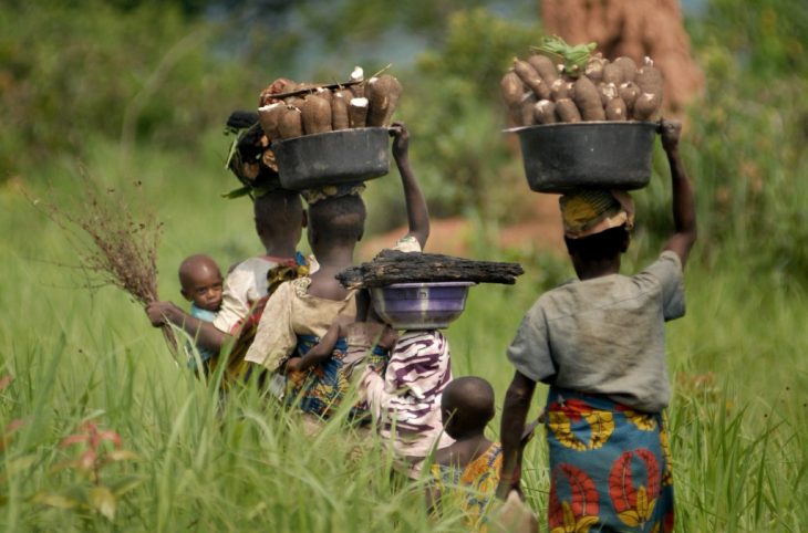 Quelles solutions pour régler durablement le problème de l'insécurité alimentaire