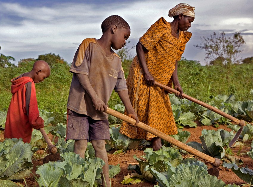 Ernest Gotard, Inspecteur central d’agriculture