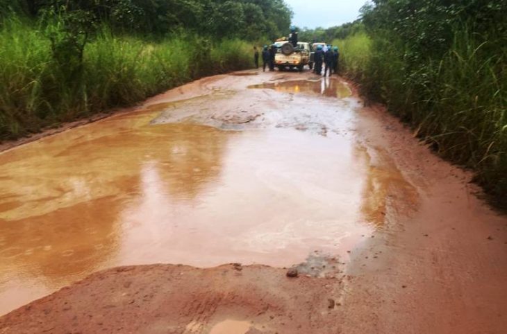 Centrafrique : les activités économiques mises à mal sur l’axe Berberati-Nola