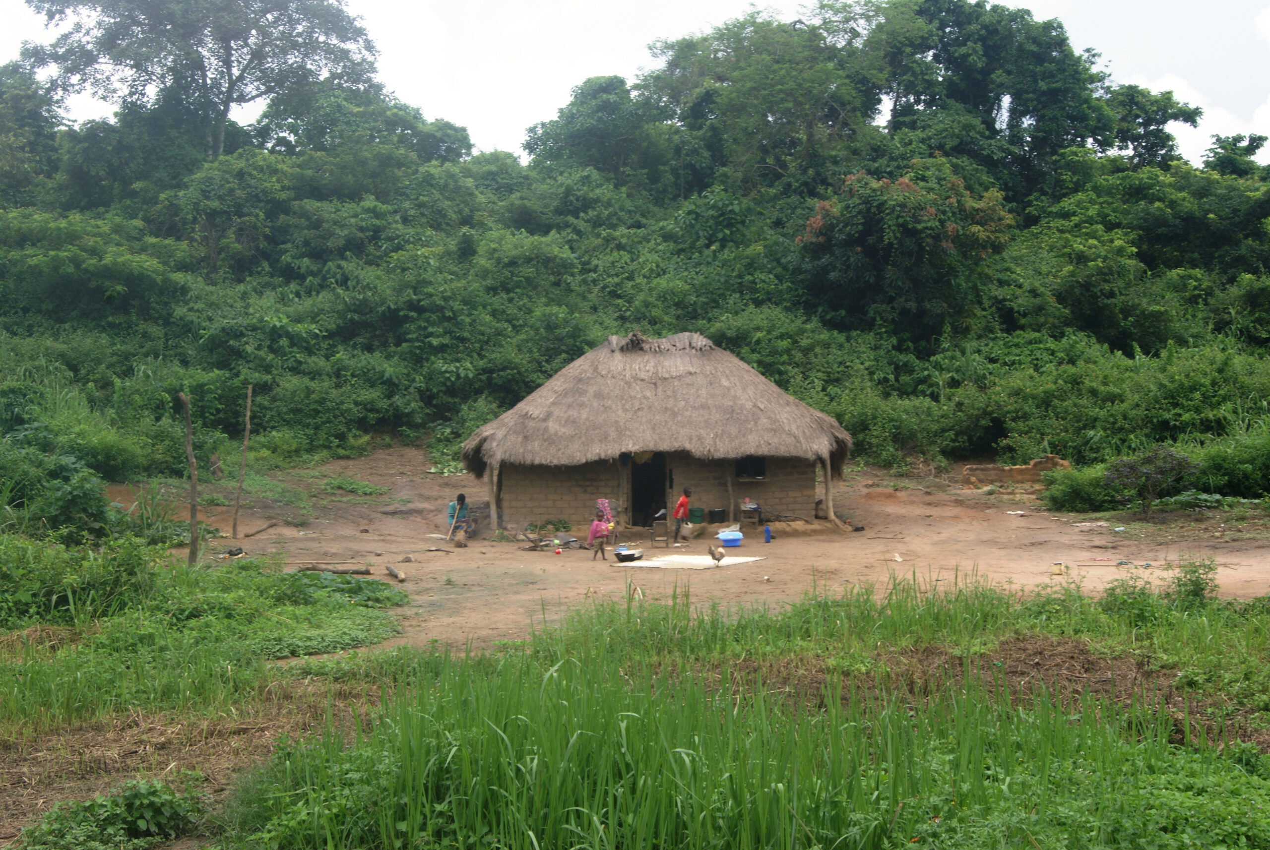 Centrafrique: les habitants du village Longo se disent abandonnés faute de prise en charge sanitaire