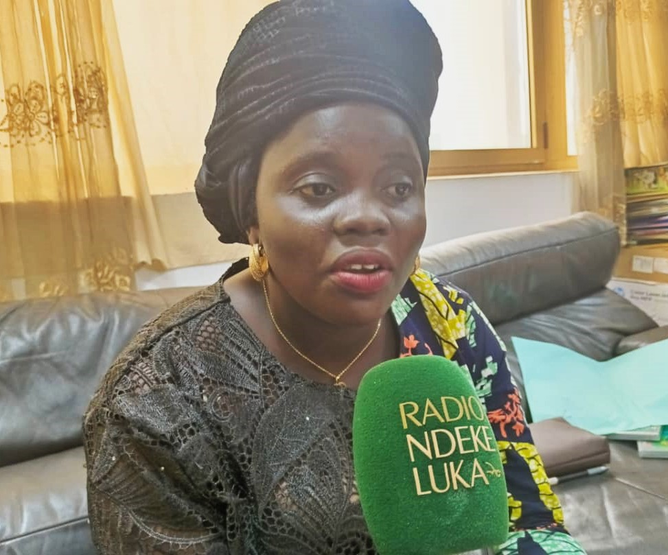 Elections municipales : « Officiellement, il n’est nulle part dit qu’elles n’auront pas lieu »