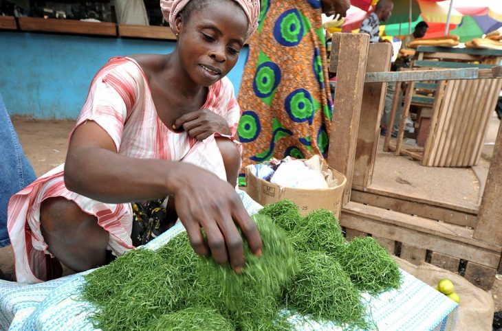 Les femmes vendeuses de gnetum parlent de leurs activités