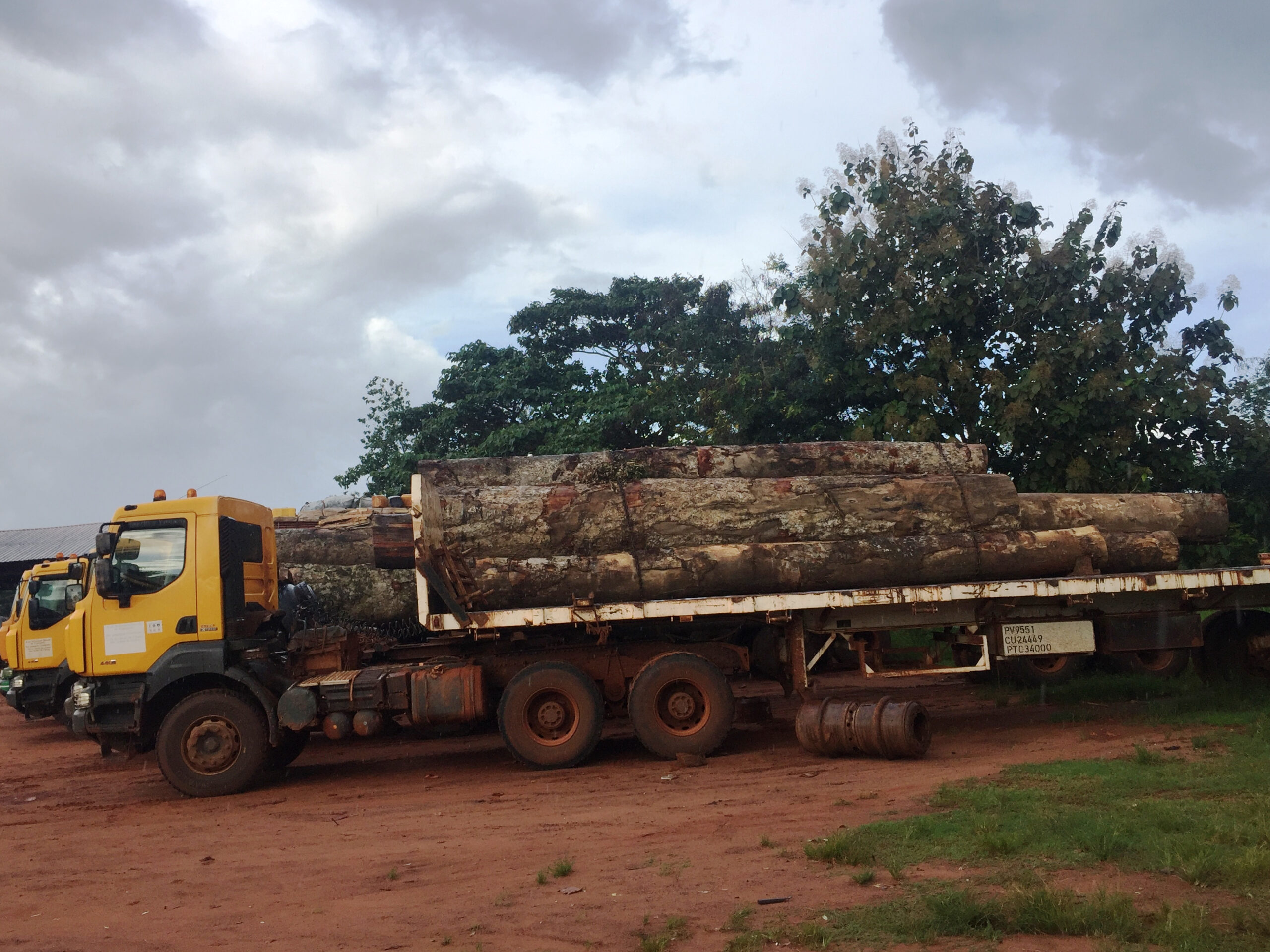 Centrafrique : Où vont les taxes versées par les sociétés forestières ?
