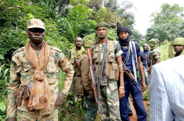 RCA: sept véhicules d'une mission humanitaire enlevés par des hommes armés à Bakouma