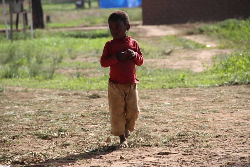 Le calvaire des enfants orphelins en République Centrafricaine (RCA)