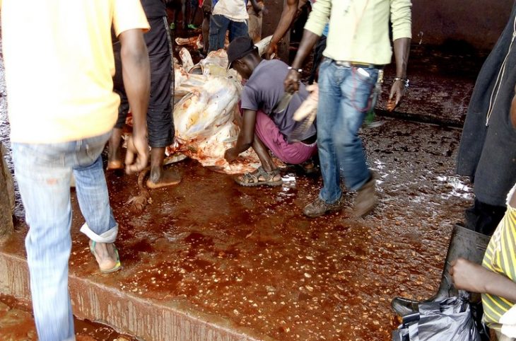 Mambéré-Kadeï : Le manque d’eau potable à l’abattoir de Berbérati inquiète