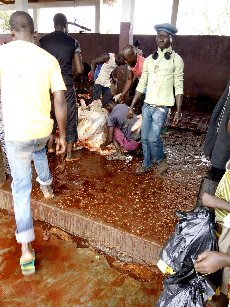 Mambéré-Kadeï : Le manque d’eau potable à l’abattoir de Berbérati inquiète