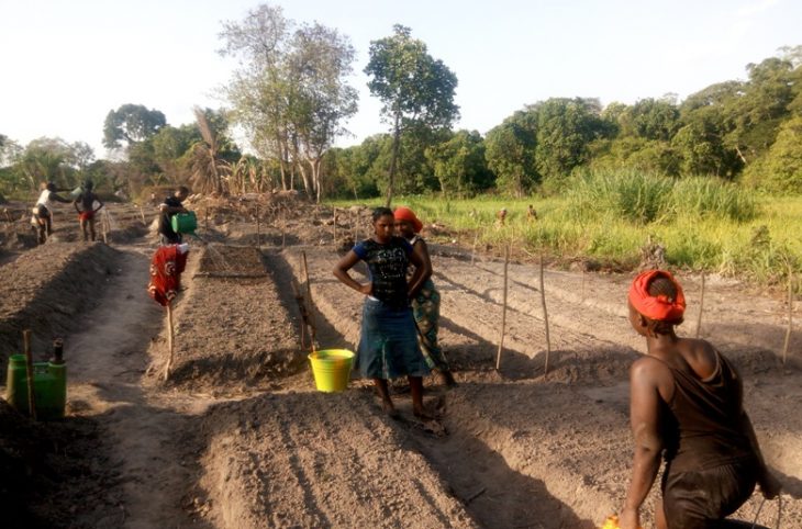 Quelle genre de culture pratiquée en saison sèche selon Samson Dangaza