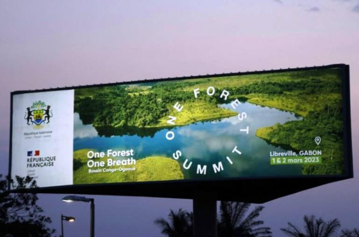 One Forest Summit" de Libreville : « un moment clé pour avancer sur l’action climatique et la préservation de la biodiversité »