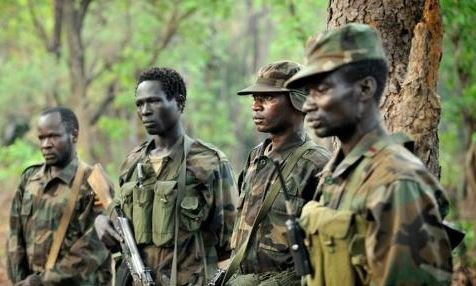 Centrafrique : une nouvelle vie possible pour les anciens combattants de la LRA à Obo