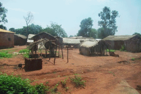 Centrafrique : Une dizaine de morts et de blessés à Bria dans la Haute-Kotto