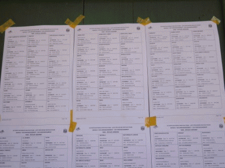 Publication des listes électorales à Bangui : mécontentement et satisfaction