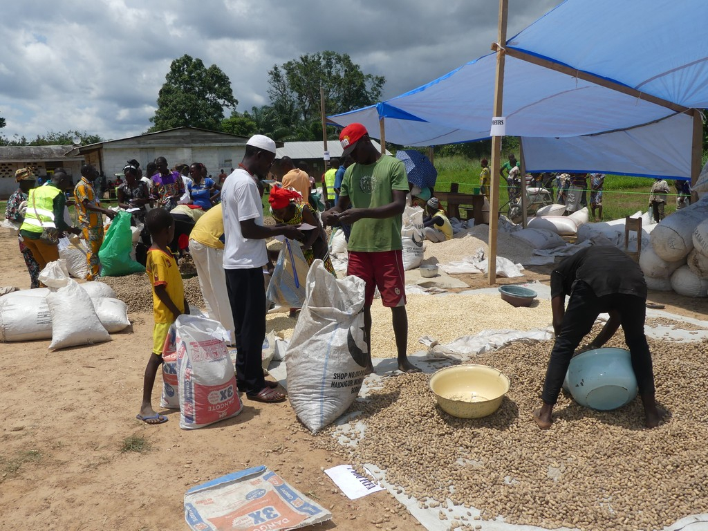 RCA : L’ONG Passa et la FAO assistent 200 personnes vulnérables au village Pata
