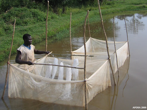 La pratique de la pisciculture et ses contraintes en RCA