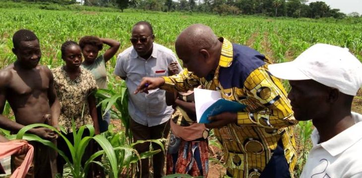 Centrafrique : le projet Papeur critiqué pour promesse non-tenue à Sibut