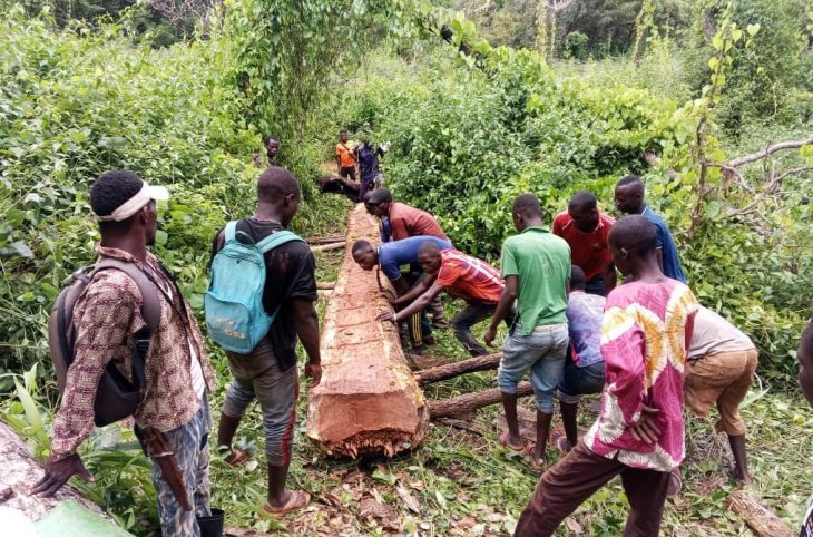 Centrafrique : le désenclavement, objectif communautaire dans la Haute-Kotto