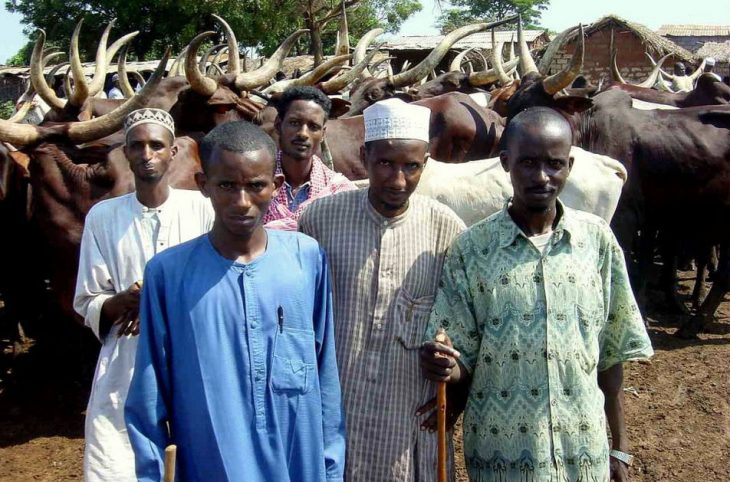 La minorité peulhe impliquée dans le scrutin, les pygmées ignorés