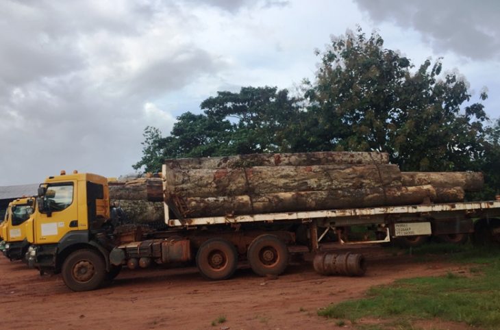 Des avancées réalisées dans le cadre de l’Accord du Partenariat volontaire APV/FLEGT en RCA selon Silvère Sombo
