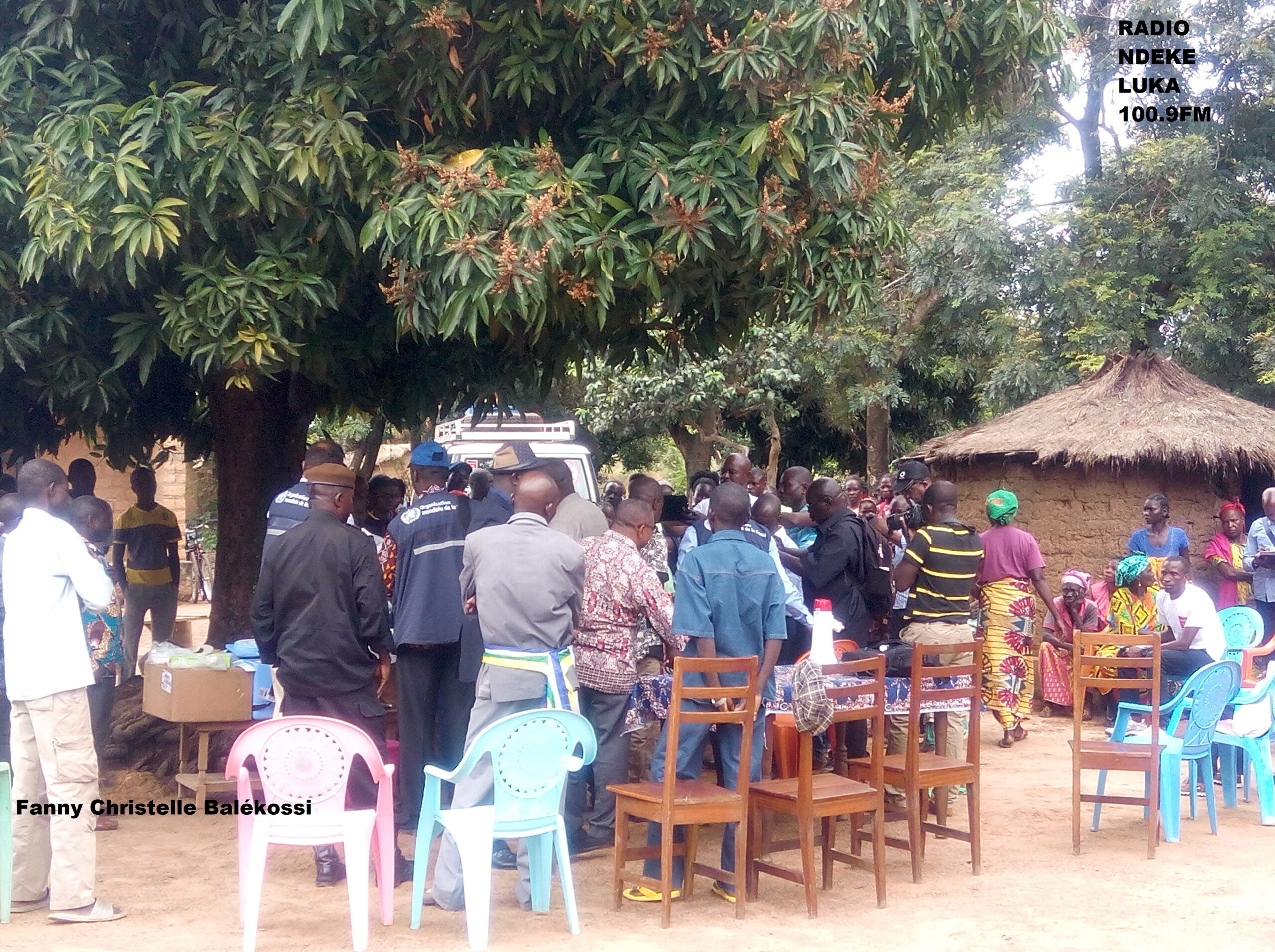 Que savoir de l’hépatite E ?