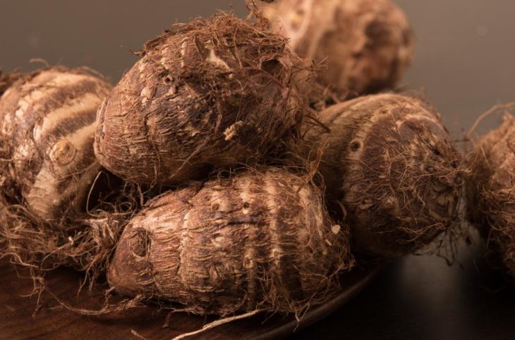 La culture du taro au cœur du Magazine agropastoral