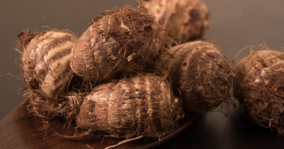 La culture du taro au cœur du Magazine agropastoral